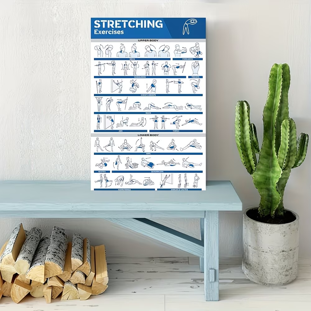 Modern Labeled Full-Body Stret - Interior Design Room recension och pris